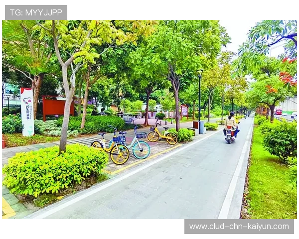 环境友好型自行车挑战赛，绿色运动风潮，绿色生态环保自行车出行